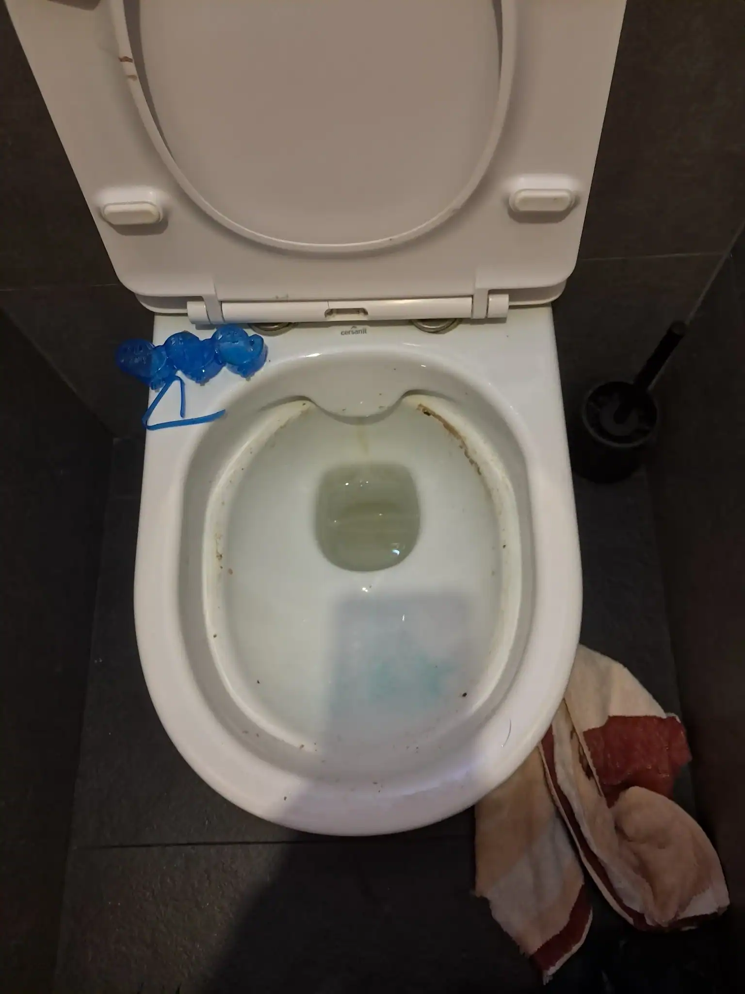 Łódź Retkinia, ul. Przełajowa – plastikowa zawieszka WC wyjęta z odpływu toalety po udrożnieniu